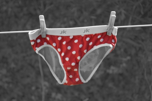 red knickers on mono background